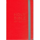 NIV Holy Bible In Red